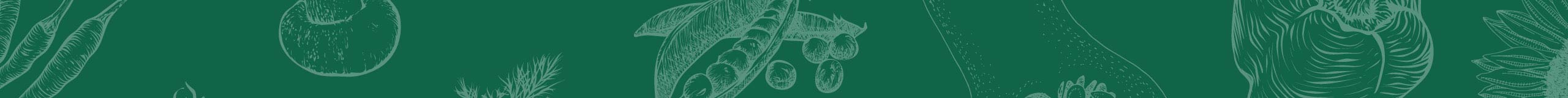 Sketched veg wallpaper topnav