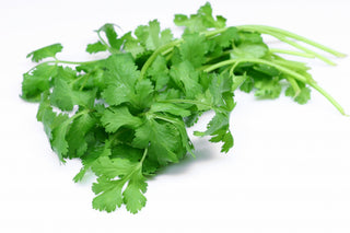 Crooked Horn Farm Cilantro Bunch EA