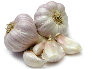 Argenta Gardens Garlic ~100g ~100g